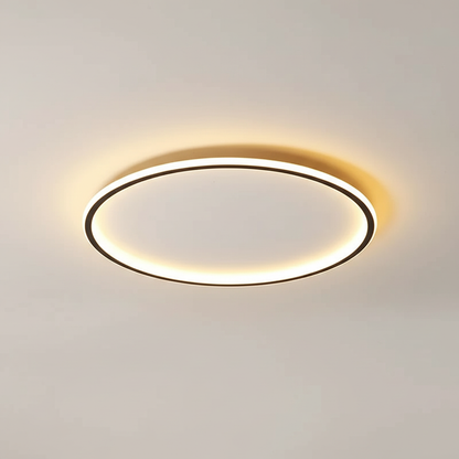 Moderne plafondlamp - kamerlicht
