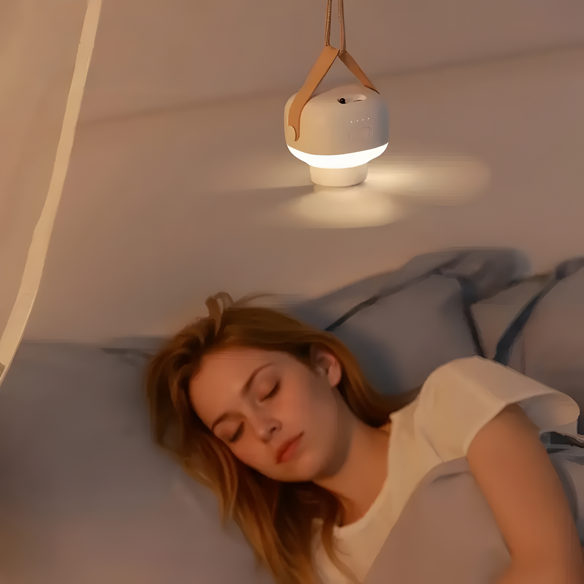 BreezeNova - PortaHaus Lamp Plafondventilator Licht met Afstandsbediening