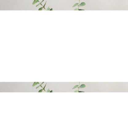 BloomFrame